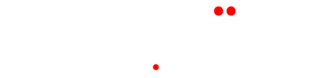 NamRiitz Logo